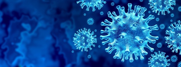 Test PCR Covid Programare online